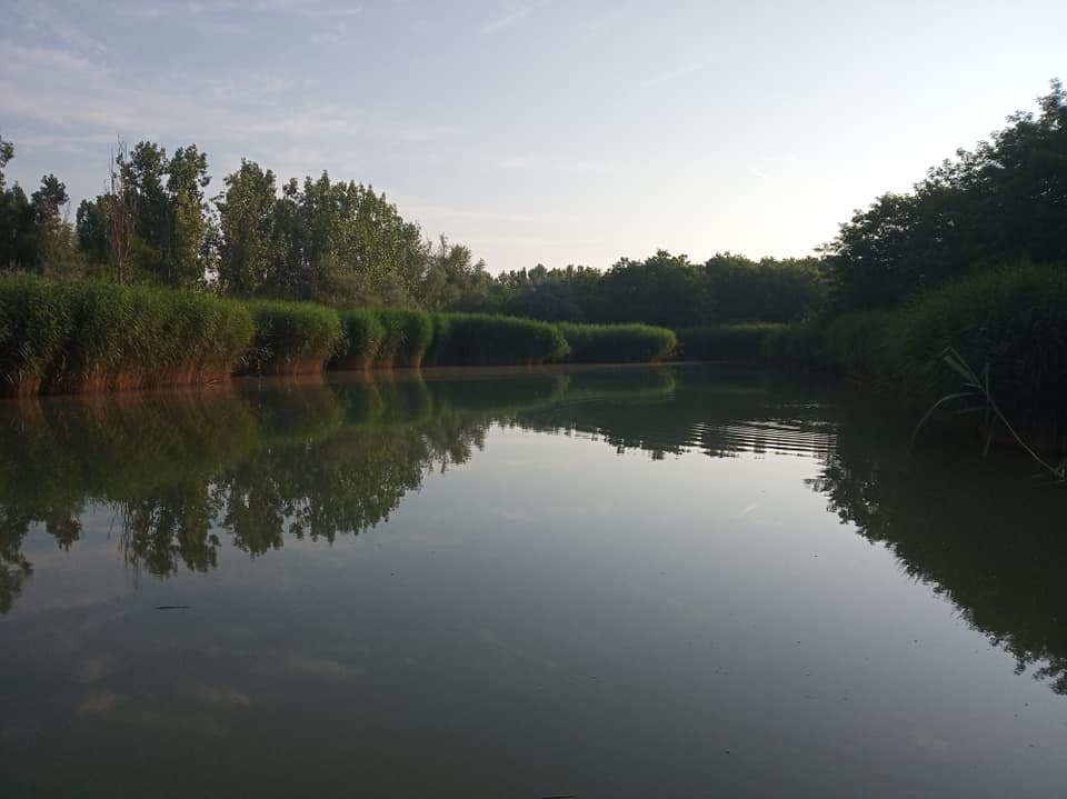 Gyulai Szilvási Horgásztó Angelnsee