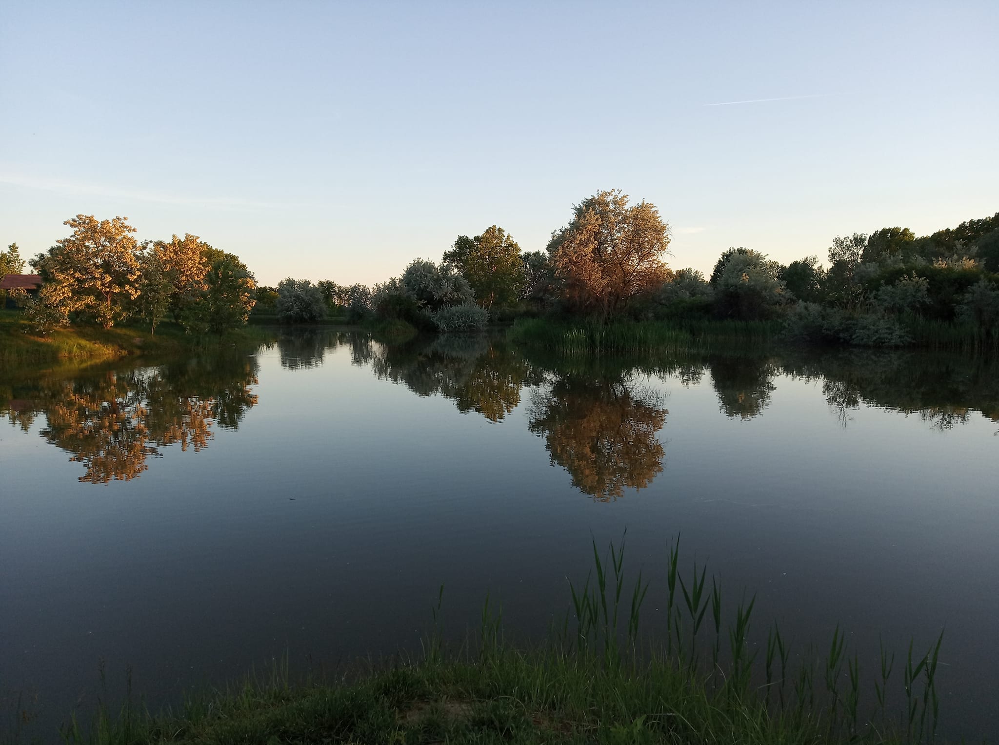 Második bejegyzés képe