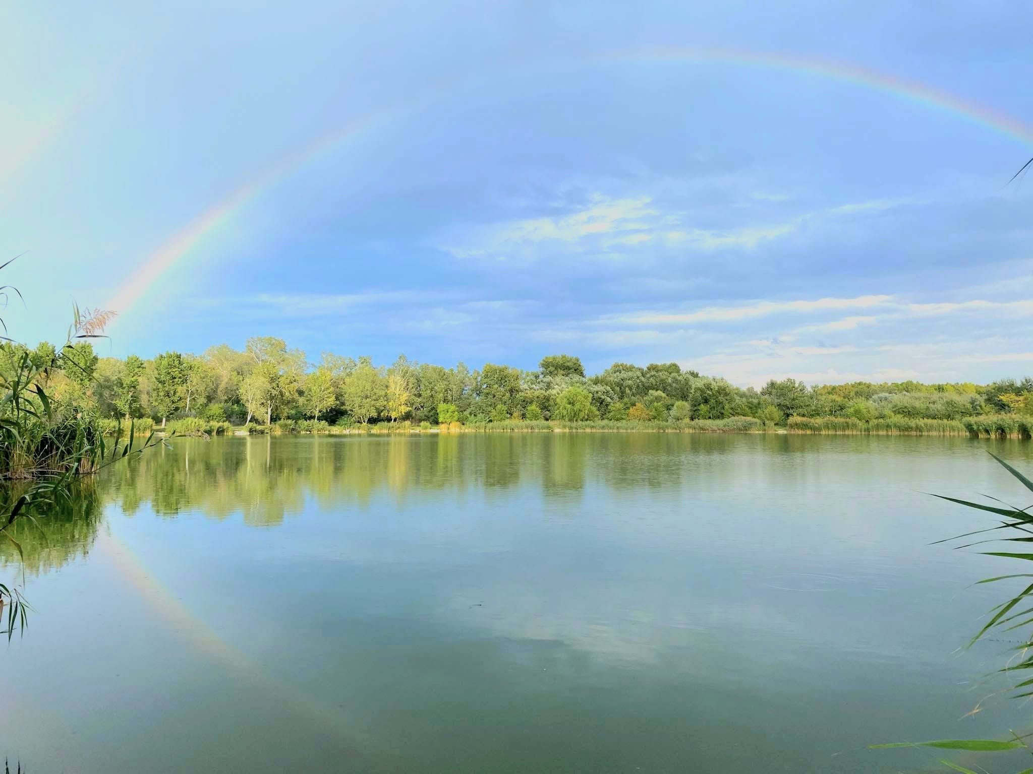 Gyulai Paradicsomi Horgásztó Angelnsee